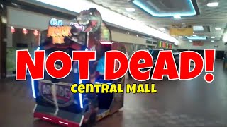 Not Dead - Central Mall Net Worth