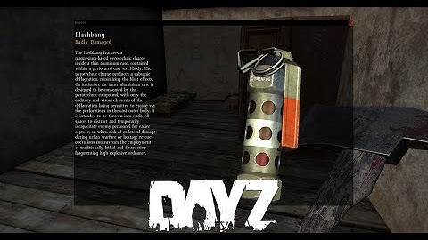 A Flashbang - DayZ