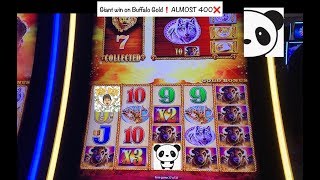 This session went from zero to HERO. Huge win on Buffalo Gold slot❗️ screenshot 2