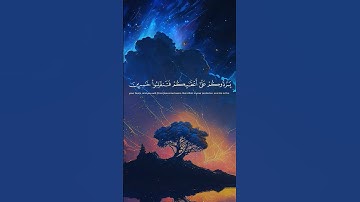 #قرآن #quran #القرآن_الكريم #تلاوة_خاشعة #تلاوة_هادئة أكتب شيئ تؤجر عليه 🙏