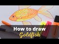 How to Draw a Goldfish - Simple realistic drawing tutorial | Colour Wheel Arts