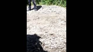 Самооборона Виноградівщини виявила незаконний забір гравійно-пішаної суміші на Тисі