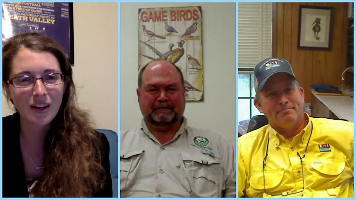 Feral Hog Management