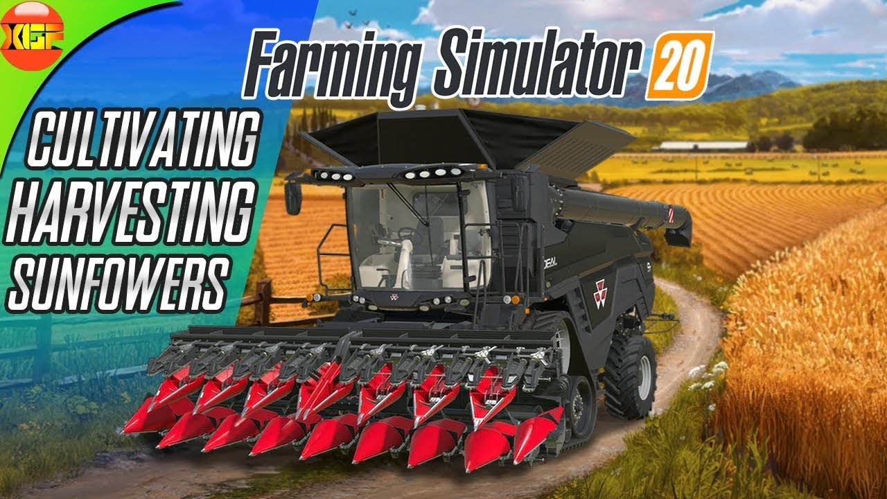 Harvesting Sunflower Farming Simulator 20 Gameplay (fs20)  Android Gameplay #21--MR GAMER