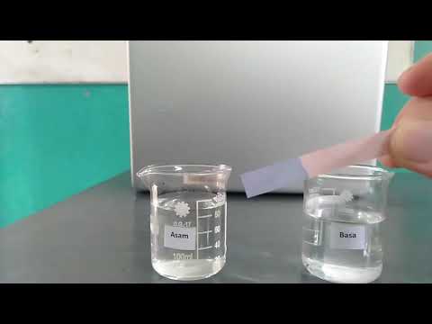 Video: Apakah ion yang wujud dalam larutan asid?