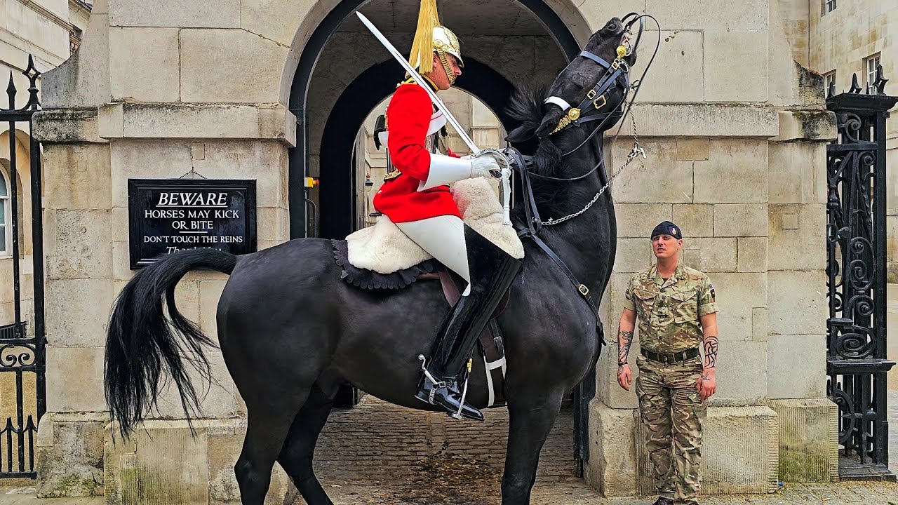 HUGE HORSE QUITS SIX TIMES as POLICE, GUARDS, TROOPER and tourists look on at Horse Guards!