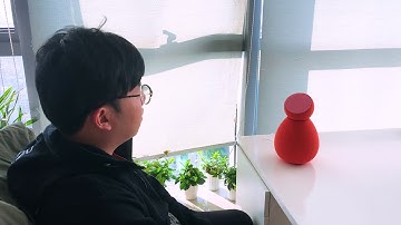 Echo Cancellation Process