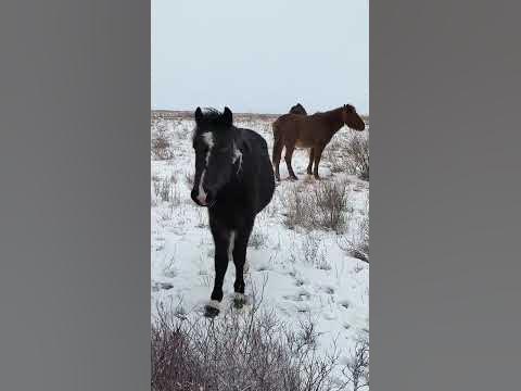 Малыш - YouTube