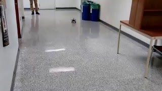 Multi Robot Target Detection Example Profile