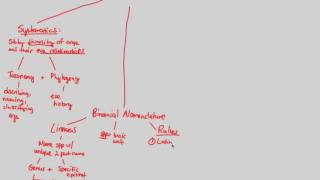 Phylogenetics - Introduction | BIALIGY.com
