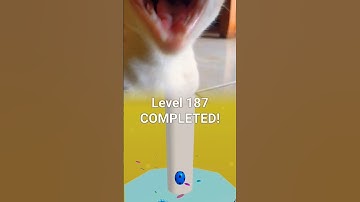my cute cat playing stack ball level 187 #funnyvideo #cat #cutecat #games #cutecate #cuteanimals