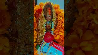 jagdamba ghar me diya 🪔 Jai shree jagdamba