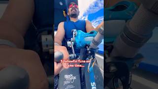 Yellowfin Tuna Pack attack #YFT #fishingcharters #gamefishingnz #okumanz #choondapremi