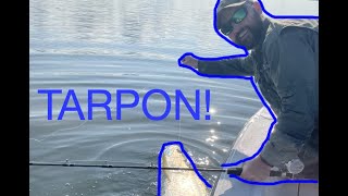 We Caught A Bucket List Fish