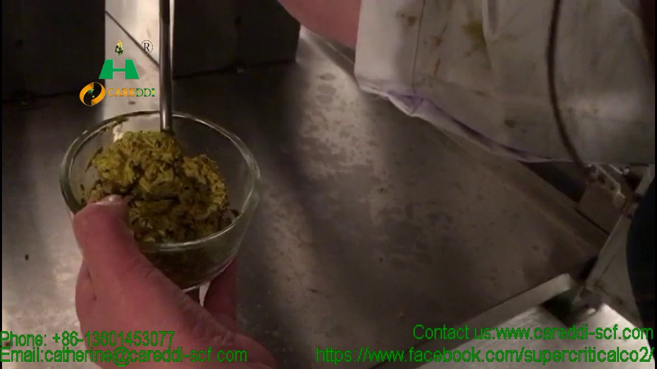CBD Extraction using Careddi Supercritical co2 extraction machine