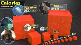 Calories Need Per Day by Animal | Birds | Godzilla Kong |
Calories are the amount of energy released when your body breaks down (digests and absorbs) food. The more calories a food has, the more energy it can provide to your body.
This video is visualization of Calories need per day of different animal, birds etc.
#comparison
#size
#calories
Follow us on Instagram
https://www.instagram.com/databallstudio/ Calories Need Per Day by Animal | Birds | Godzilla Kong |