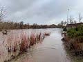 The salinas river flows through paso robles and under the niblick bridge