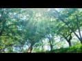 おんなの朝