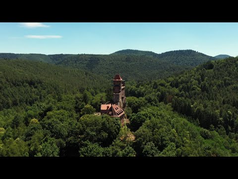 Die Pfalz von oben: Burg Berwartstein