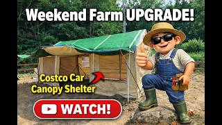 Weekend Farm Upgrade — Costco Car Canopy Shelter #DIYFarm #HomesteadLife #WeekendFarm #FarmShelter