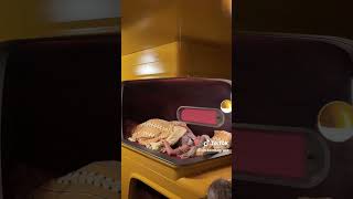 #parati #edit #apoyoplissssssssssssss #scream7 #mackennagrace #Hannahthurmab