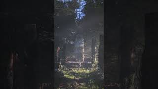Unreal Engine 5 Animation That Looks Too Good | Ammar Khan #unrealengine #environmentdesign #vfx