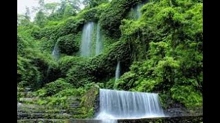 Waterfall Gentle Stream Sound In Forest, Waterfall Sounds, Flowing Water, White Noise For Sleep