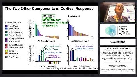 Functional imaging of the human brain: A window into the organization of the human mind - Part 2