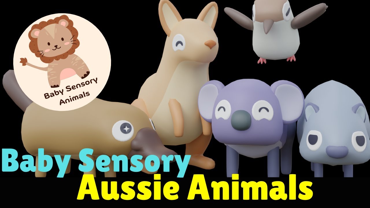 Baby Sensory Animals Quirky Aussie Animals Dance Party with contrast Colours Bear Sensory