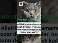 Kedinin Parayla İmtihan Duası 😺💸✨ #cat #komikkedi #kedi #funnycat #funny...