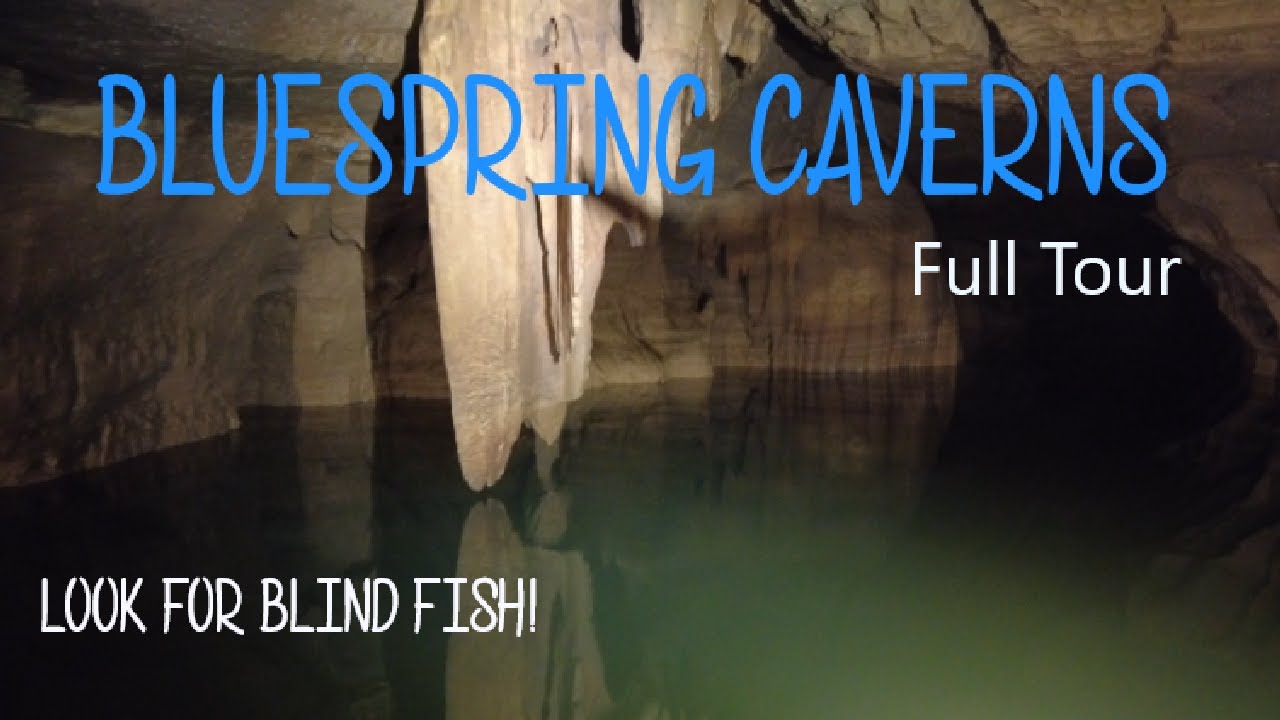 Bluespring Caverns Hours