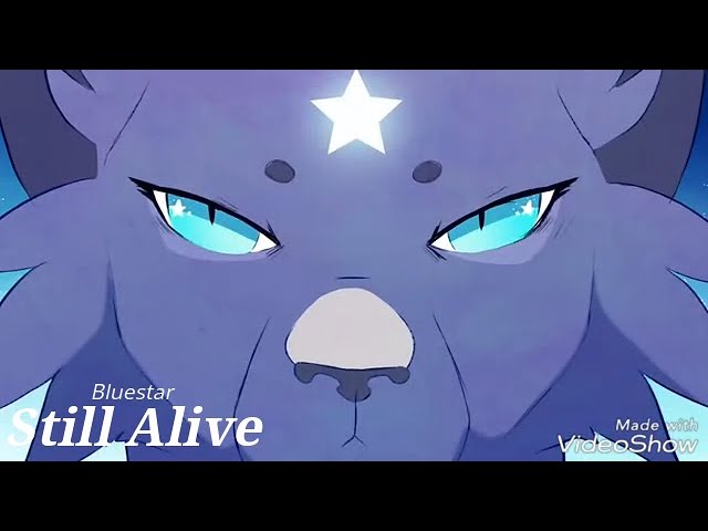 Warrior Cats - Bluestar:. — Weasyl