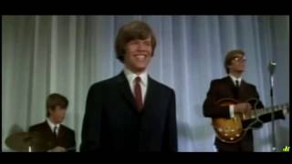 Herman's Hermits - A Must To Avoid (Stereo)