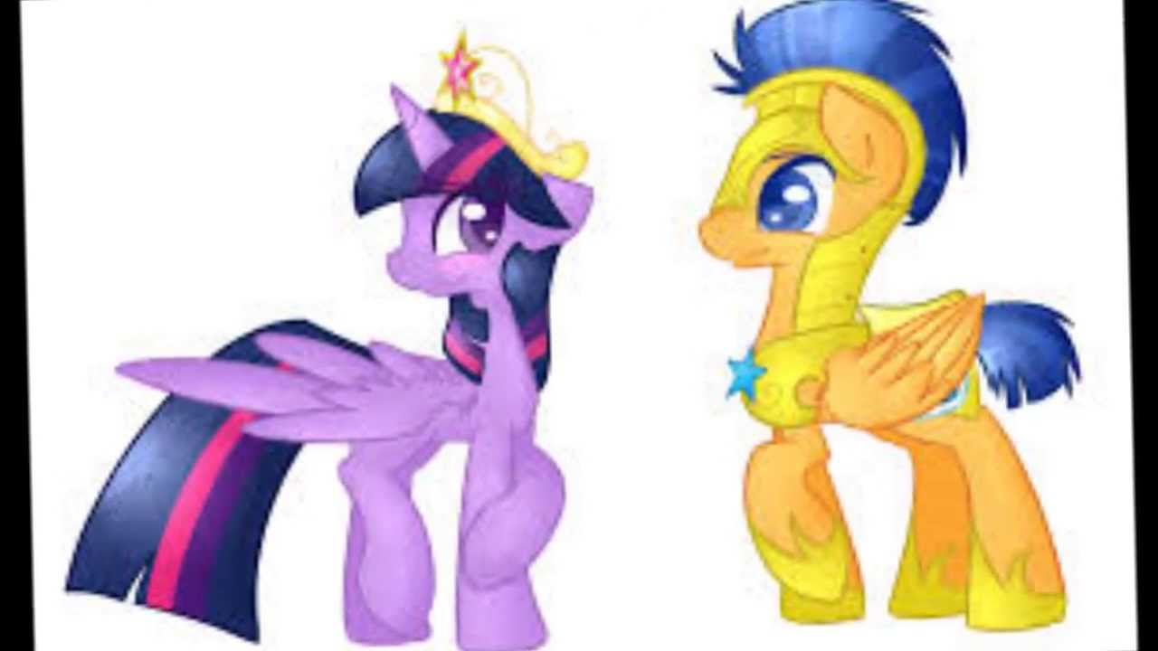 Flash Sentry X Twilight Sparkle