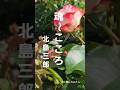 魂~こころ,,,北島三郎#ショート