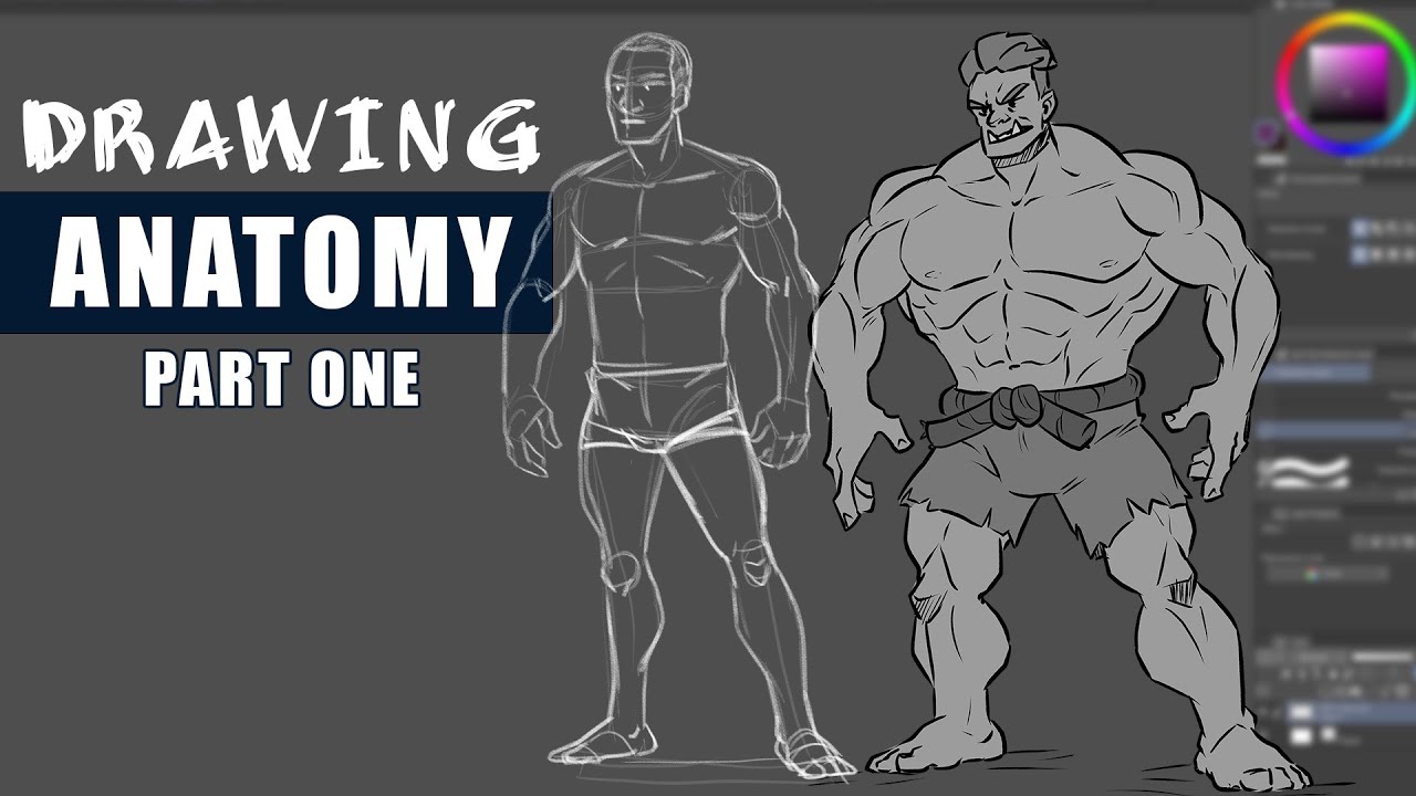 How to Practice Anatomy | Part 1 - YouTube