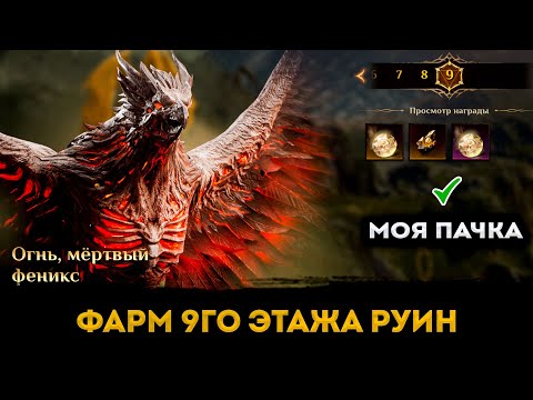Фарм 9го Этажа Нечестивых Руин (Heretical Ruins) | Моя пачка | Dragonheir: Silent Gods | Элви