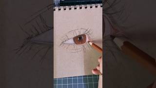 رسم عين بالألوان الخشبية و ألوان البان باستيل /coloring eye