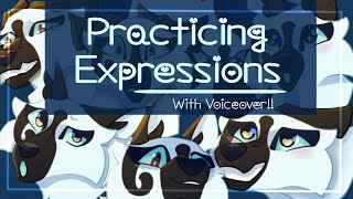 Practicing Expressions - Digital Speedpaint