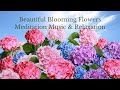 🌷🌹Beautiful Blooming Flowers Meditation Music &amp; Relaxation, Healing Anxiety &amp; Stress Relief| Visual🌸