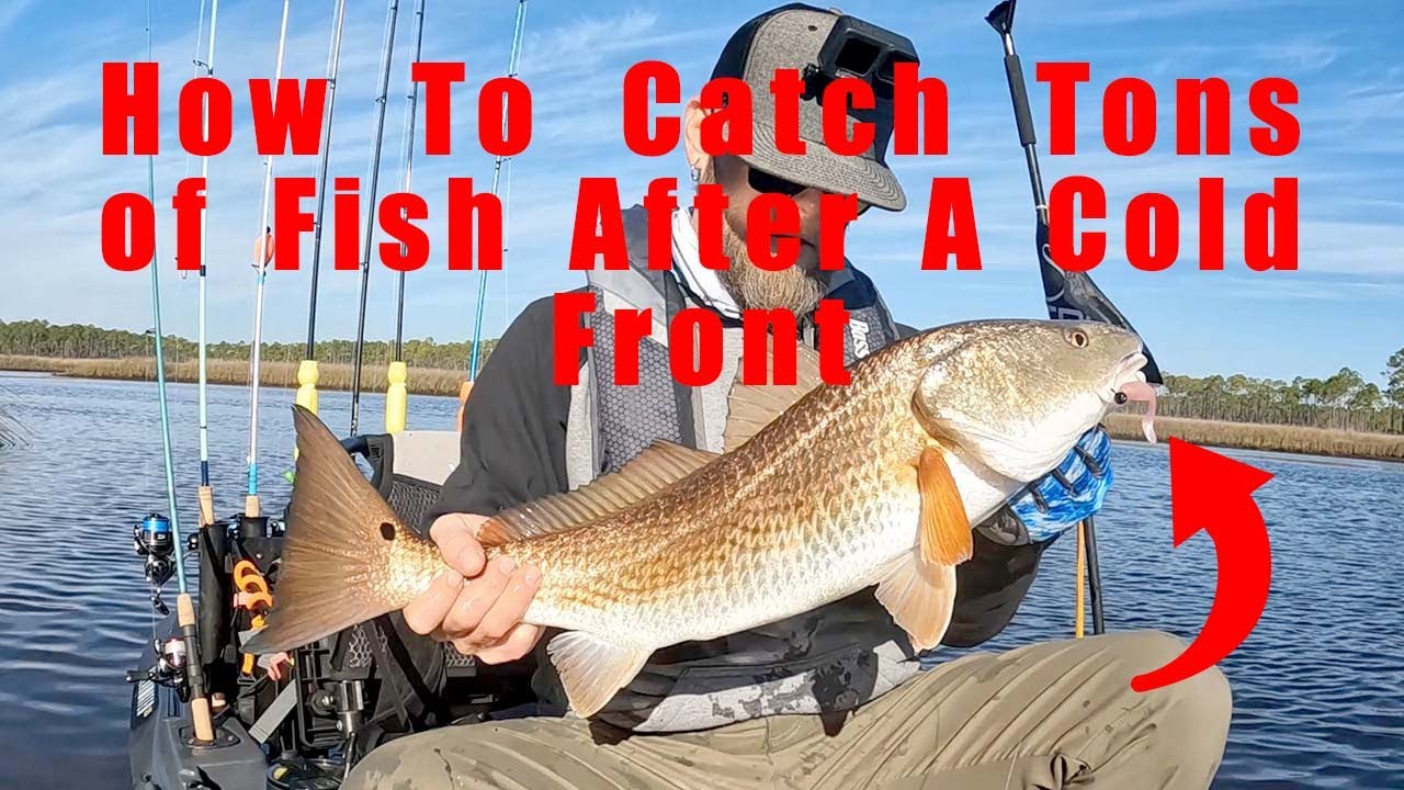 Winter Creek Fishing In Big Bend [Fishing Report]