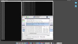 Wireshark Setup & Packet Capture on Raspberry Pi: Network Traffic Analysis