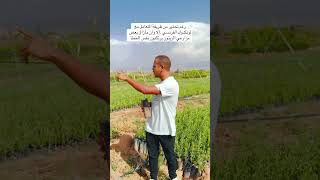 رغم التحذيرات مازال هناك من يرتكب هذا الخطأ