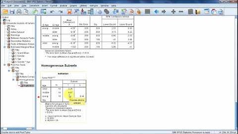Post Hoc Analysis of Factorial ANOVA In SPSS