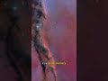 A Tower of Gas 9.5 Light-Years Tall
