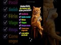 Minha lista de coisas que estou precisando 😂 #humor #meme