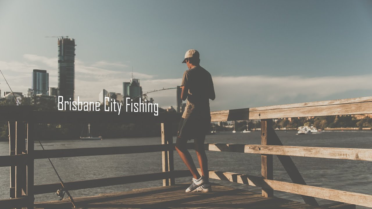 CATCHING FISH!!! in the city (Brisbane City Fishing) YouTube