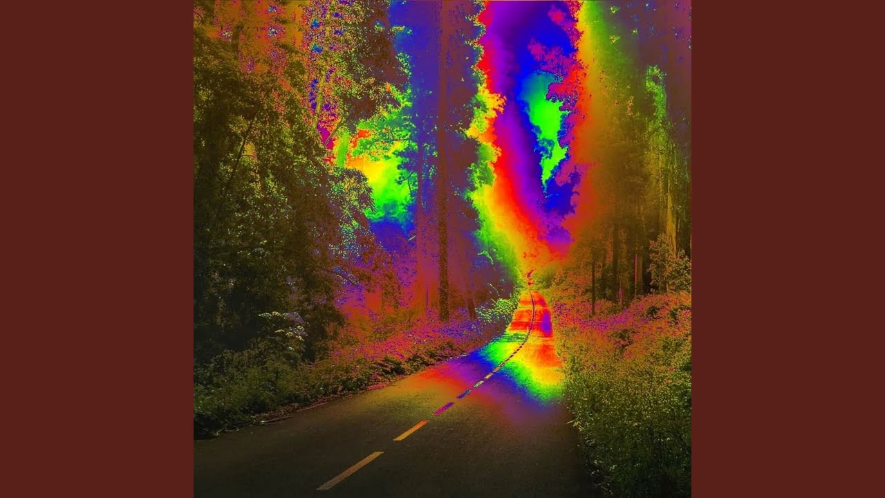 searching for the signs