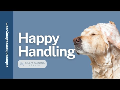 My Dog Hates The Vet/ Groomer/ Nail Trims! You Need Happy Handling!
