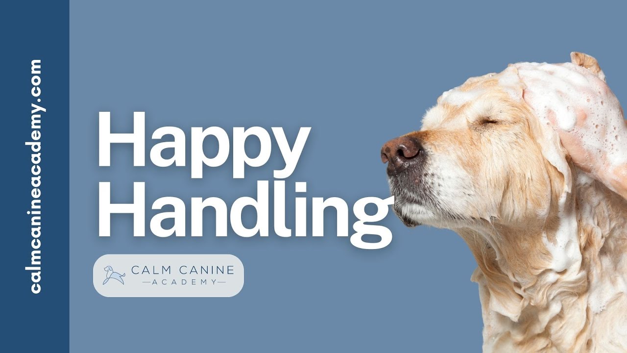 My Dog Hates The Vet/ Groomer/ Nail Trims! You Need Happy Handling